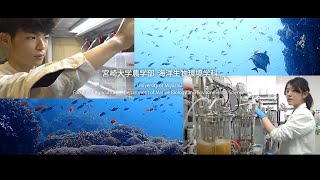 「海の未知を科学する」宮崎大学農学部海洋生物環境学科