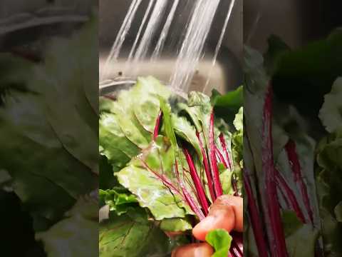 🥬Beet leaves thoranKerala style#shortsfeed#shortsviral#trending#shortvideoviral #canada#easyrecipes