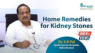 Kidney stone: Home Treatment by Dr. S.K.Pal at Apollo Spectra Hospitals