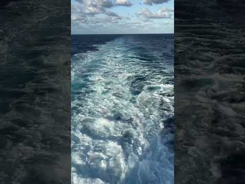 #shorts Royal Caribbean Adventure of the Seas - Wake View Best View, Engine Wash