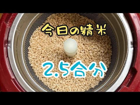 【精米vlog】玄米から白米へ　2.5合