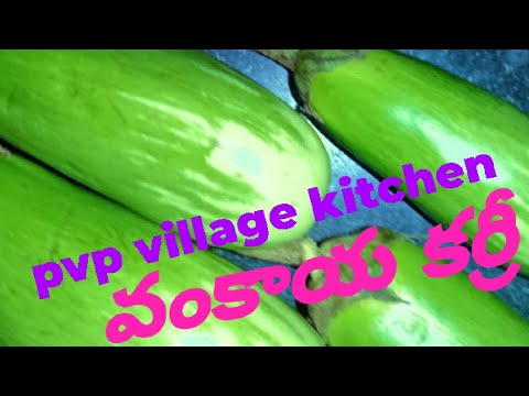 వంకాయ టమోటా కూర|brinjal tamota curry|pvp village kitchen|telugu channel|