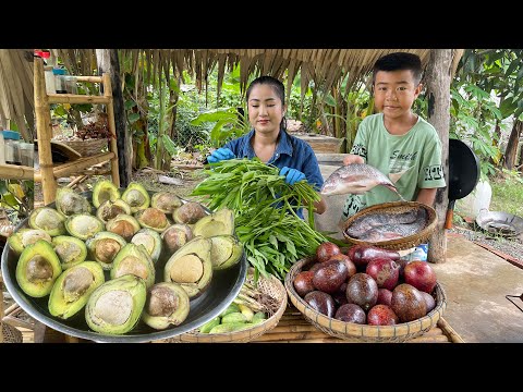 " Avocado fruit " Harvest avocado and cooking with country style - Chef Seyhak