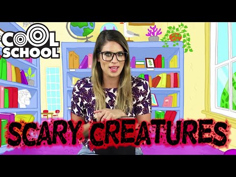 SPOOKY CREATURES! 🎃 Ms. Booksy's Scary NOT Scary Stories for Kids 👹