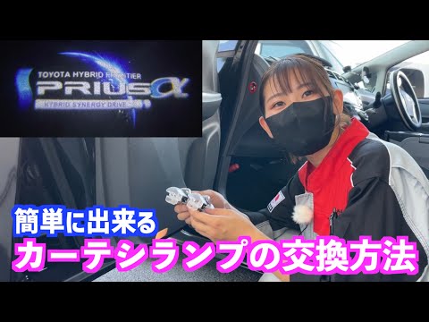 【プリウスα】超簡単！カーテシランプの交換のしかた