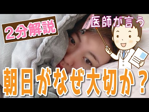 医師「夜更かししても、○○しよう！」2分解説！【薬学部の授業で教わったこと】