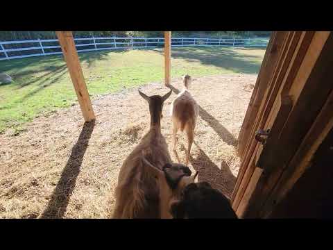 Lucy will eat with her friends