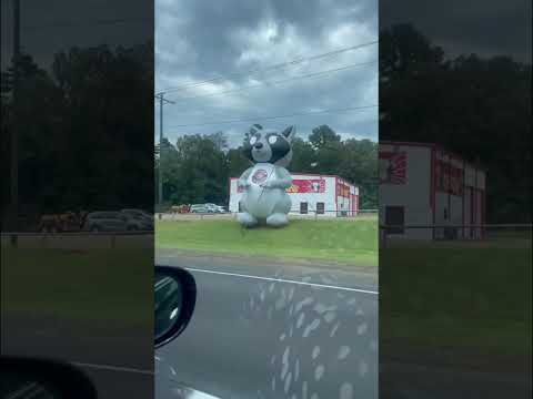 HOW HIGHWAY FIREWORKS STANDS ADVERTISE