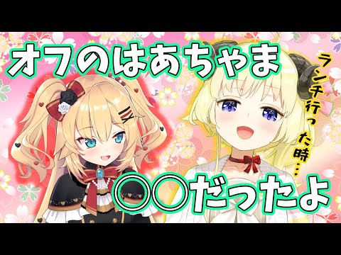 はあちゃまのリアルでの印象を語る角巻わため【角巻わため/ホロライブ切り抜き】