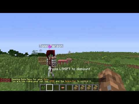 Minecraft Server Get a PET!!!! [echopet]