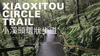 小溪頭環狀步道健行3km，北市享低海拔森林浴，四季舒適老少皆宜 ｜山上加美 Lovely Hill