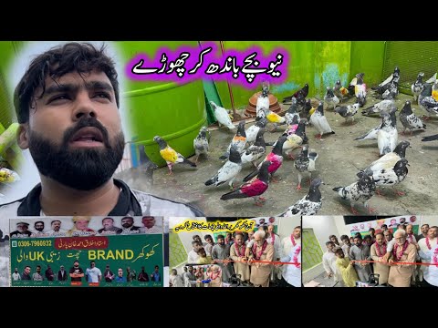 New Bachay Bandh Kr Choray || Khokhar Pigeons Club