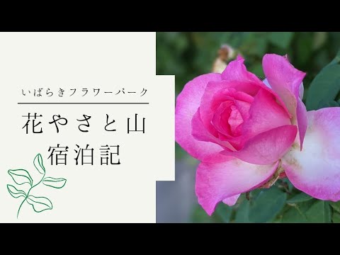 いばらきフラワーパーク内の宿泊施設  花やさと山に宿泊してきました