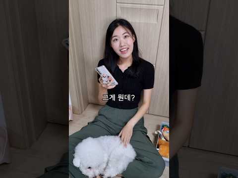 와이프 예스데이(반전있음)