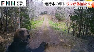 【恐怖】ヒグマが“猛スピード”で車に体当たり　逃げても追いかけてくるクマに「また来た！ヤバいぜ！」　北海道・根室市（2024/4/29放送）