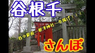 谷根千お散歩　Yanesen walk