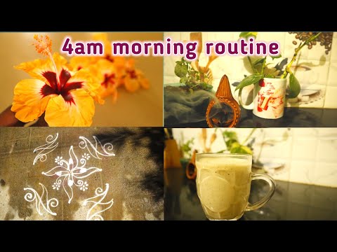 అనుకున్న time కి నిద్ర లేస్తే నా morning routine ఇలా ఉంటుంది🤩💐 మీకు ఇంతేనా? my morning routine