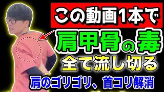 【6分で肩甲骨を完全攻略】ガチガチ肩甲骨がふにゃふにゃになる！老廃物排出、リンパ流しで肩のゴリゴリ解消、首コリ解消、肩こり解消できるエクササイズ！