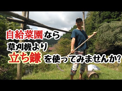 【立ち鎌の世界へ】家庭菜園なら草刈機なんて使わなくても大丈夫‼︎/鎌の研ぎ方講座付き