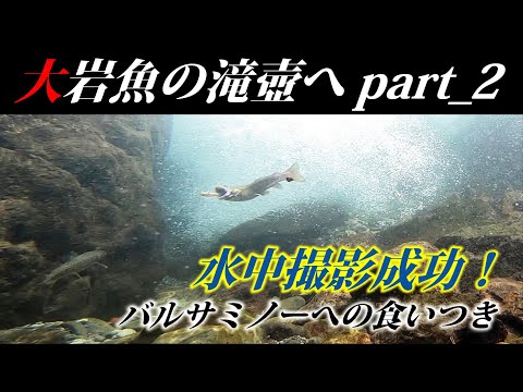 【大岩魚の滝壺へpart_2】水中撮影成功！！バルサミノー源流釣り！