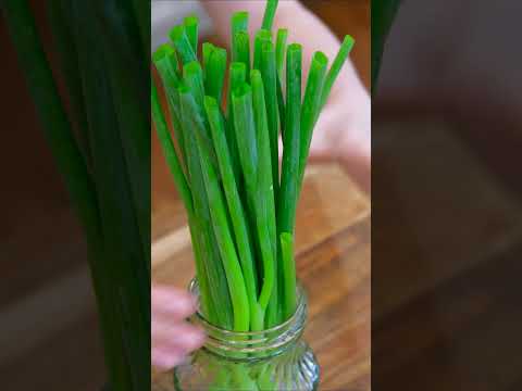 How to Keep Scallions Green and Fresh for a Month in the Fridge