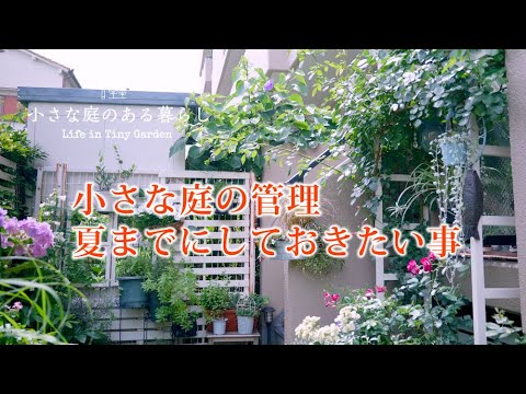 ガーデニング Vlog｜小さな庭、夏前にしておきたい事｜ハンギングの整理、薔薇のシュートを整理〜小さな庭のある暮らし 128〜Gardening ｜ Life in a tiny garden