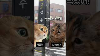 서울 놀러간다면 꼭 봐야할 영상 #서울 #서울여행