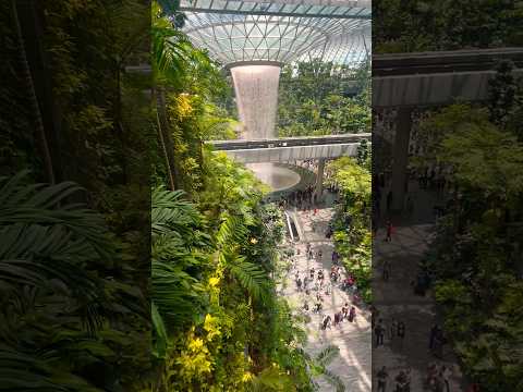 jewel changi airport，wow！