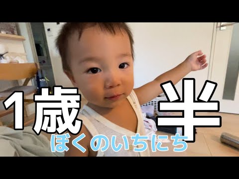 1歳半の1日