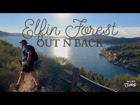 ELFIN FOREST OUT N BACK