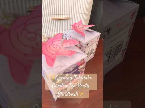 ✨Opening Tokidoki X Kuromi&MyMelody Garden Tea Party Blindbox!!✨ #MJ_Vids#Sanrio#Tokidoki#Kawaii