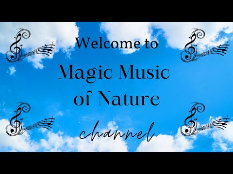 Welcome to Magic Music of Nature channel