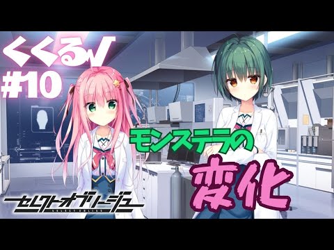 【セレクトオブリージュ】くくる√ part10【実況プレイ】