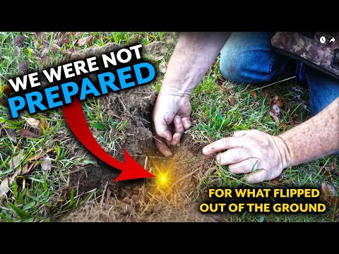 We Were NOT PREPARED For What Flipped Out of The Ground Metal Detecting!