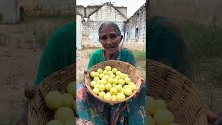 Salt Gooseberry #shorts#amla