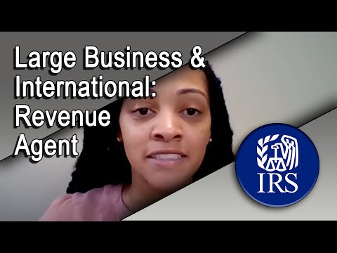 IRS Large Business and International Revenue Agent