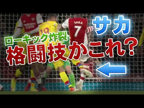 【悲報】サカ、思いっきり蹴られる！