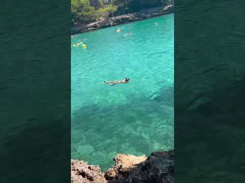 Incredible Clear water | Mallorca | Cala D’or #mallorca #calador #spain #españa #mediterranean