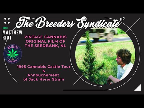 Breeders Syndicate Classics Vintage Nevil Cannabis Castle Tour & Jack Herer Strain Holland Seedbank