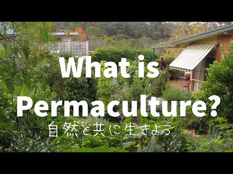 地球に寄り添う生き方～パーマカルチャーって何？～ What is Permaculture?