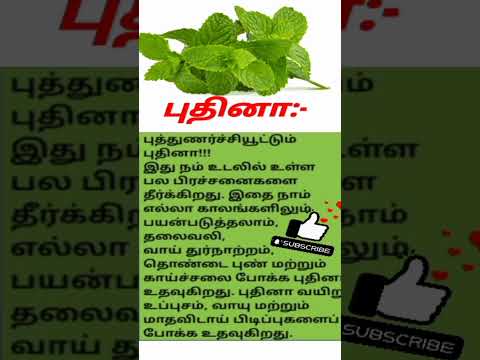 புதினா #mint #healthtips #shorts