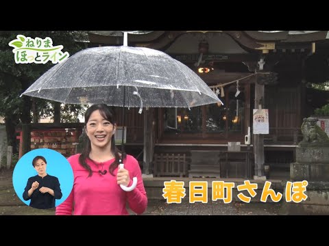 ねりまほっとライン（春日町さんぽ）令和４年11月前半号