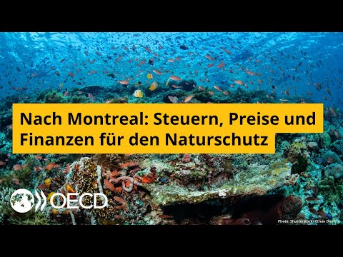 Nach Montreal: Steuern, Preise und Finanzen für den Naturschutz