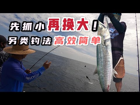 另类高效海钓爆箱之行，抓小鱼换大鱼，水面水下通吃钓法！#海钓 #live bait fishing