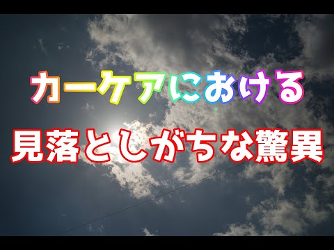 カーケアにおける意外な驚異について【洗車雑談】