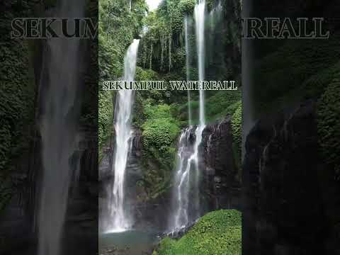 Waterfalls in north Bali that you have to go! #baliholiday #bali #indonesia #vlog #shorts #balitrip