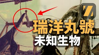 瑞洋丸號海怪事件，日本漁民出海捕魚，撈出一隻怪異未知生物| 真探者| UMA