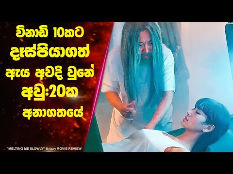 විනාඩි 10කට දෑස්පියාගත් ඇය අවදි වුනේ අවු:20ක අනාගතයේ | Ending Explained Sinhala | Lokki Recaps