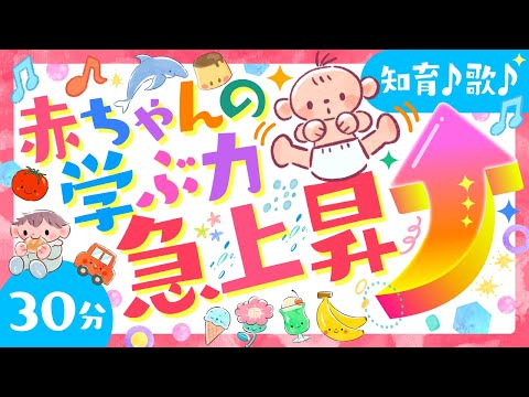 【赤ちゃんが喜ぶ歌/アニメ】赤ちゃんの学ぶ力急上昇☝️❣️│ソポアートパーク公式🌲ö│赤ちゃんが笑う 泣き止む 喜ぶうた&いろもりだくさん│0歳から3歳│泣き止む・知育の動画【Baby amime】