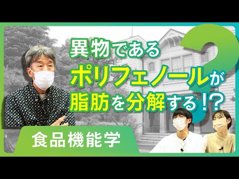 【学問小話】食品機能学：なぜポリフェノールは脂肪を分解できるのか？（村上明　兵庫県立大学環境人間学部）